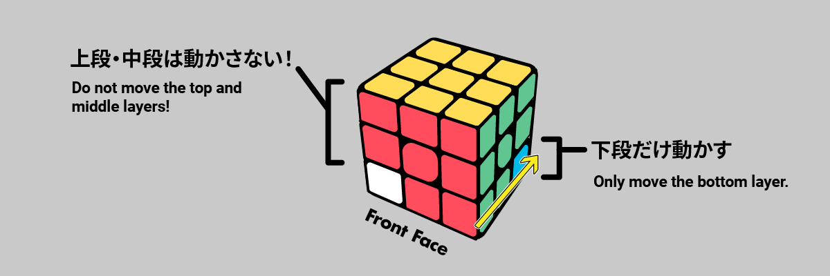 ボトルレイヤーの下一面を白にする